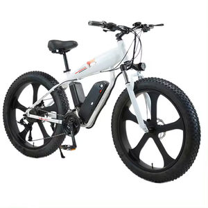 Cadre en alliage d'aluminium le plus attrayant Fat bike plage Cruiser Ebike gros pneus adulte VTT électrique 1000w 48v <span class=keywords><strong>e</strong></span> vélo - Product Image 2