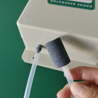 2000 mg/u Elektrische Ozongenerator Machine Draagbare Thuis Lucht Waterzuiveraar Waterbehandeling Reiniging voor Fruit Vlees Voedsel