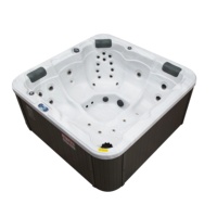 Spa extérieur Jacuzzi Bain à remous Jet de massage extérieur