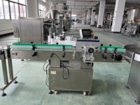 Machine d'emballage et de remplissage de bouteilles d'huile de lubrifiant de jus de fruits de mangue de boisson alimentaire à grande vitesse