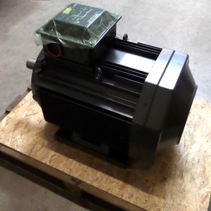 Motor Squirrel M3AA 250brand 2 3GAA251033-ADG NOV - Product Image 1