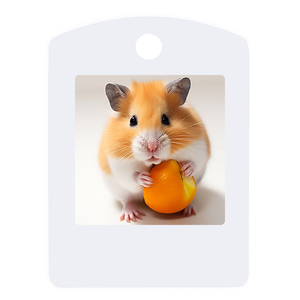 Electronic <strong>E</strong>-ink Screen Electronic <strong>Paper</strong> Portable Mini Smart Anti-lost Device Positioning Label Manufacturer <strong>Price</strong> Discount - Product Image 3