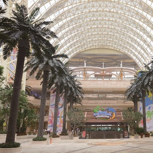 Nhà Sản Xuất Tùy Chỉnh Top Chất Lượng Cây Nhân Tạo Nhân Tạo Ngoài Trời Trang Trí Trung Đông Ngày Cây Cọ - Product Image 2