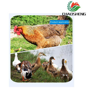 Lactobacillus <span class=keywords><strong>Acidophilus</strong></span> <span class=keywords><strong>Plus</strong></span> Supplement Fabrikant Fabriek Leveren Topkwaliteit Probiotica Gevriesdroogd Lactobacillus Poeder - Product Image 3