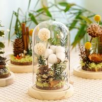 Vente en gros de fleur immortelle fleur séchée couverture en verre spécimen de plante décoration de la maison Mori est accompagné de cadeaux