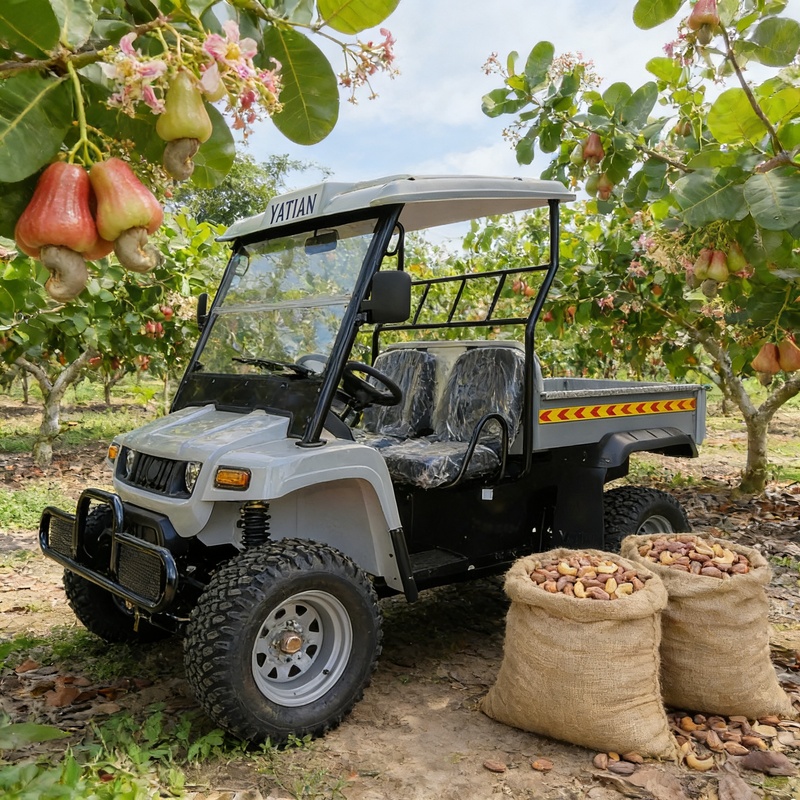 Terrain Vehicle Direct Adult Farm Quad