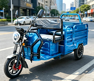 Tricycle de livraison électrique zéro émission, conforme aux normes EU L2e EEC COC, éligible aux aides à la livraison écologiques - Product Image 1