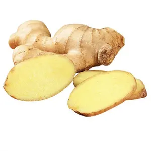 NEW CROP ORGANIC FRESH GINGER TO EXPORT WHOLESALE HIGH QUALITY GINGER