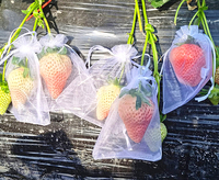 Ademend anti-insecten recyclebaar PE plastic gaasnet beschermhoes voor bloemen en fruit, geschikt voor supermarkt, druiven en tomaten