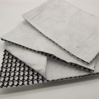 Fabricant sur mesure de tapis de drainage en HDPE 3D pour barrière, filet géocomposite pour déchiqueteuse, route, jardin, style plat
