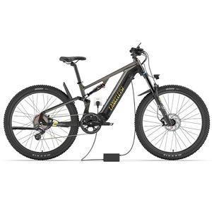 Vélo de montagne électrique à suspension intégrale 29 pouces 250W 48V 20Ah 960Wh Batterie certifiée EN15194 CE EMTB MG600 Pro - Product Image 1