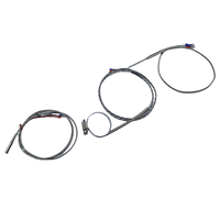 Sensor Termokopel Platinum Industri 2 Kawat 3 Kawat Tahan Suhu Tinggi Pt100 Termometer Resistansi OEM Baja Tahan Karat IP65