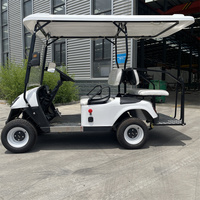 Voiturettes de golf électriques à bas prix Buggy car à vendre Chinese Mini USA Street Legal Golf Cars