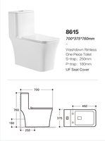 WC monobloc en céramique à chasse directe pour salle de bain, prix abordable