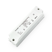 Fuente de alimentación de tamaño pequeño 24VDC Controlador LED 24W Voltaje constante Controlador de borde delantero