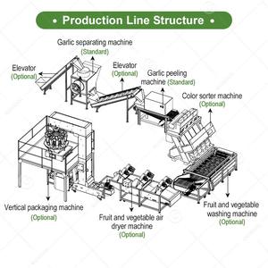 Machine automatique verticale de décorticage et de triage des bulbes d'ail noir, capacité 500 kg, avec fonction de séparation des gousses et de retrait de la peau - Product Image 3