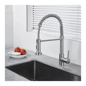 Conjunto de torneiras torneira de água para cozinha com pulverizador pull down comercial mola torneira da pia da cozinha pulverizador pull out