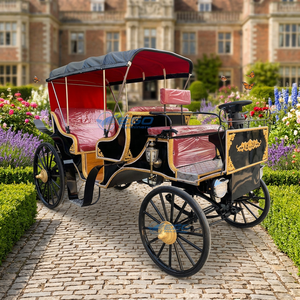 Nouvelles carrosses à chevaux et carrosses électriques pour mariages et visites touristiques, modèle 2026, en promotion - Product Image 1