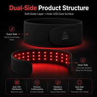 Ceinture de thérapie par lumière rouge pour chiens et chats, usage domestique, soulagement de la douleur, 660nm 850nm, physiothérapie infrarouge, alimentation par prise secteur/USB
