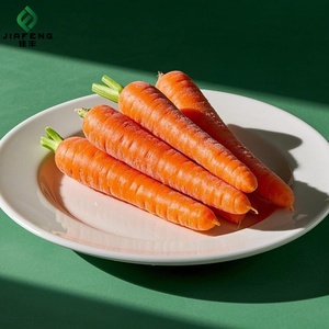 Zanahorias Cortadas en Cubos y Rebanadas, Congeladas Profundamente (LQF), Calidad Certificada Halal, Grado de Exportación, Fabricación Profesional, Congeladas y Cortadas <span class=keywords><strong>2</strong></span> - Product Image 2