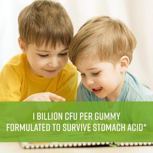 Oem/Odm Organic Probiotic Gummy Gummy Candy Vitamins with Natural Fruit Flavors for Kid Gut Health - Product Image 4
