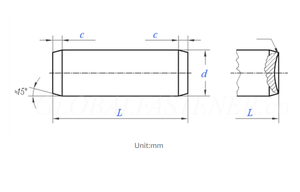 Goupilles cylindriques en acier inoxydable DIN Standard M3-M25, diamètre de la tête 22 mm, finition brillante, connecteur long - Product Image 2