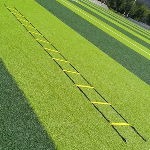 High Quality PP Material Customizable LOGO Agility Training Kit for Soccer Agility <b>Ladder</b> Markers Obstacles Set - Product Image 6