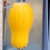 Roestvrijstalen Voedselmachine Automatische Mango Watermeloen Schilmachine Pompoen Witte Kalebas Dunschiller (TS-P30)
