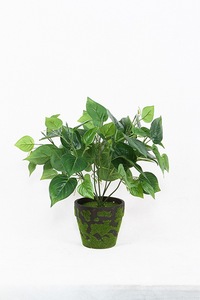 Cây Treo Tường Cây Trong Nhà Cây Nhân Tạo, Cây Xanh Nhỏ Scindapsus Aureus Bụi Cây - Product Image 5