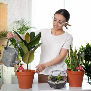 Esschert Design Abreuvoir pour plantes en terre cuite, épis d'agaric <span class=keywords><strong>mouche</strong></span> auto-arrosant en terre cuite, épis d'arrosage pour plantes champignons rouges - Product Image 2