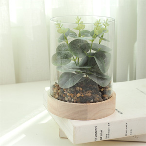 Artificial Succulent Plant Set In Glass Cylinder Wooden Base Decorative Greenery Craft <b>Ornament</b> - Product Image 4