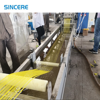 Ligne de recyclage de déchets plastiques PP/PE à refroidissement par eau monophasé, à économie d'énergie, contrôlée par PLC