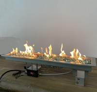 Brûleur de chauffage de terrasse à gaz télécommandé