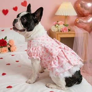 PETCIRCLE pet clothing <b>for</b> <b>small</b> and medium-sized <b>dogs</b>, pet supplies, pet <b>dog</b> <b>clothes</b>, Wizard of Oz dress - Product Image 2