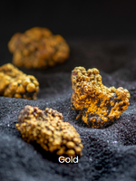 Charbon actif de noix de coco pour le raffinage de l'or, traitement et purification, qualité alimentaire, pour l'exploitation minière de l'or, ANS-YK, pureté 100%, haute résistance, pH 8-11