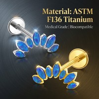 Labrets et Piercings de Cartilage d'Oreille en Titane Poli Miroir, Zircon et Plaqué Or 24K, Hypoallergéniques, Cadeau de Mariage, Bijoux Corporels