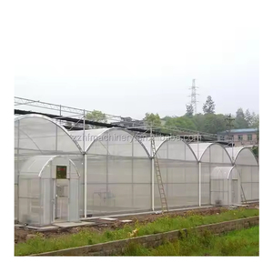 SINO番茄温室解决方案PE单层水培塑料膜多跨隧道式温室框架，适用于农业蔬菜 - Product Image 1