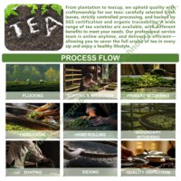 Thé aux herbes naturelles OEM à marque privée avec Maca, Ginseng et Ganoderma – Complément énergétique quotidien, relaxation apaisante et bien-être pour adultes