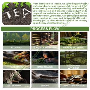 Les suppléments de thé à base de plantes naturelles de marque privée OEM améliorent la fonction énergétique et soulagent l'insomnie chez les adultes - Product Image 2