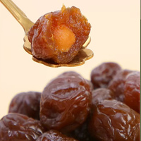 Vegan Geconserveerde Fruit Snack 508g Zakje - Gekonfijte Zoete & Zure Mix met Gedroogd Fruit