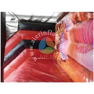 Tobogán Inflable Seco con Temática de <span class=keywords><strong>Coco</strong></span>, de Grado Comercial, de PVC, Tobogán Inflable Gigante para Niños, para Alquiler en Parques de Diversiones y Fiestas - Product Image 4