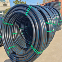 Tuyau d'irrigation noir en LDPE/HDPE résistant aux UV et au gel, tube économiseur d'eau pour ferme, verger et serre
