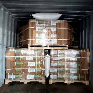 Air Dunnage <b>Bags</b> PP Woven Recyclable Reusable 2.6 psi for Container <b>Cargo</b> Protection - Product Image 1