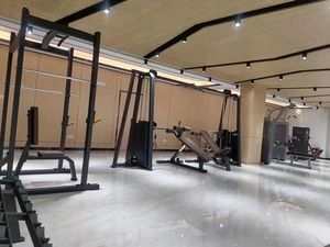 Máquina de Remo Larga para Ejercicios de Espalda y Musculación, Fabricada en China - Product Image 6