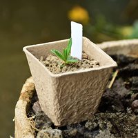 Bibit Tanaman Bunga Sukulen, Pembibitan Tanaman Ramah Lingkungan Organik, Kit Pot Drainase