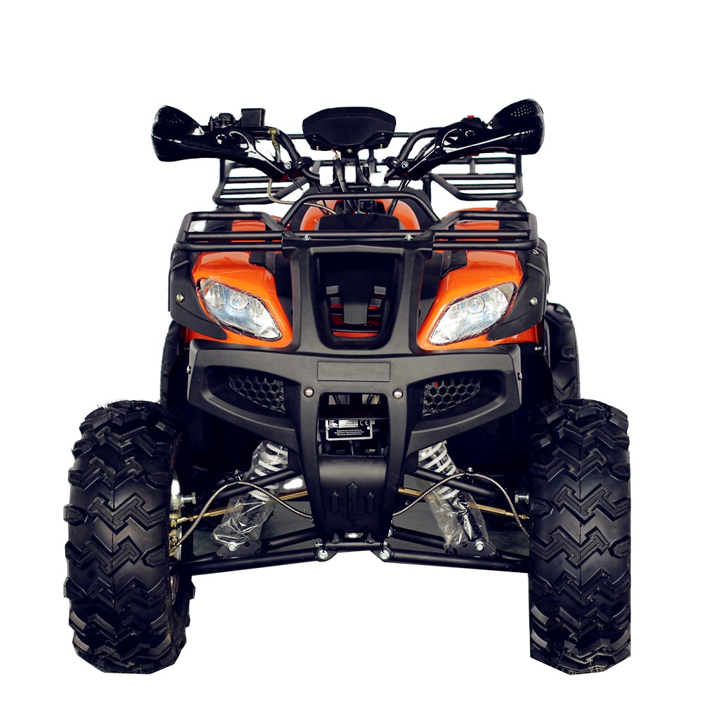Yamaha Wolverine r 700