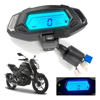 Harga Pabrik Terlaris Speedometer Odometer Motor 12V Antarmuka USB Cocok untuk Italika 250z (2019-2024) F04010196