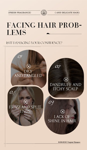 แชมพูน้ำหอมคุณภาพสูง OEM ODM แบรนด์ส่วนตัว สำหรับซ่อมแซมผมเสีย-ขายส่ง - Product Image 4