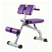 Banc de musculation multifonctionnel et réglable OEM, chaise romaine, banc de curl, banc d'haltères, banc de redressements assis, banc de fitness portable pour la maison