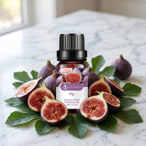 Olio Essenziale di Fico Biologico Puro al 100% Estratto Naturale Pressato <span class=keywords><strong>a</strong></span> <span class=keywords><strong>Freddo</strong></span> Distillato <span class=keywords><strong>a</strong></span> Vapore Resistente alle Alte Temperature Olio per la Pelle - Product Image 2